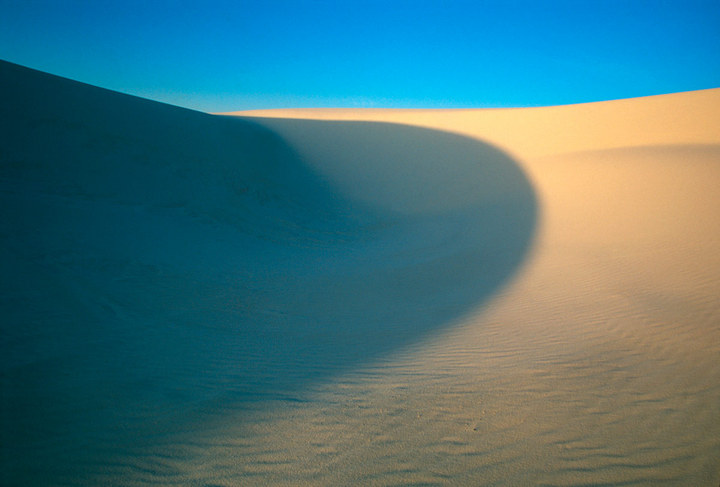 Dune Shadow