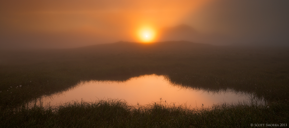 Tranquil