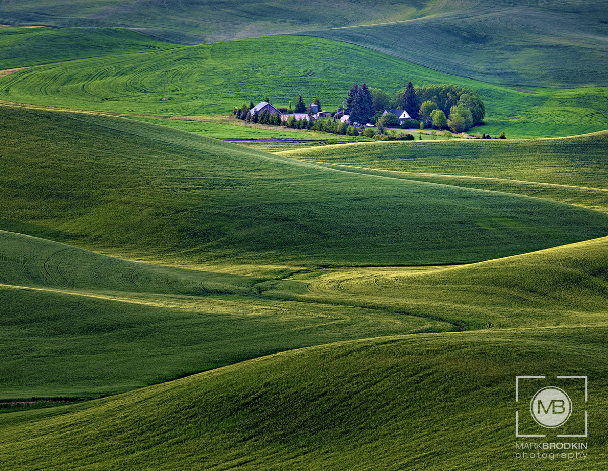 Green Waves