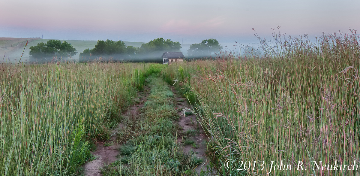 Prairie morn.