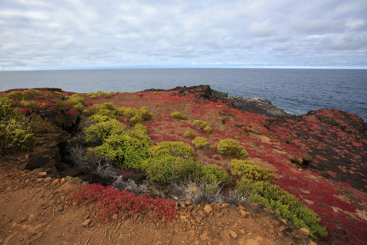 Galapagos Landscape