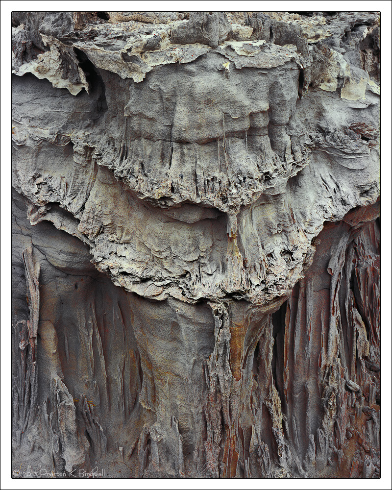 Bones Of The Earth