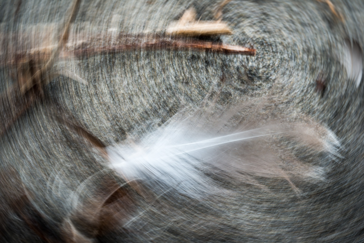 Oregon Vortex  #598