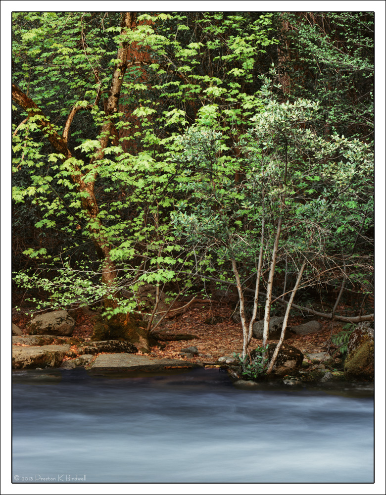 Spring On the Merced