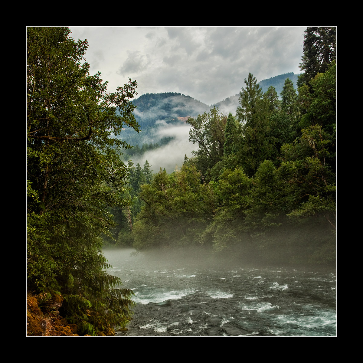 But wait, More McKenzie River