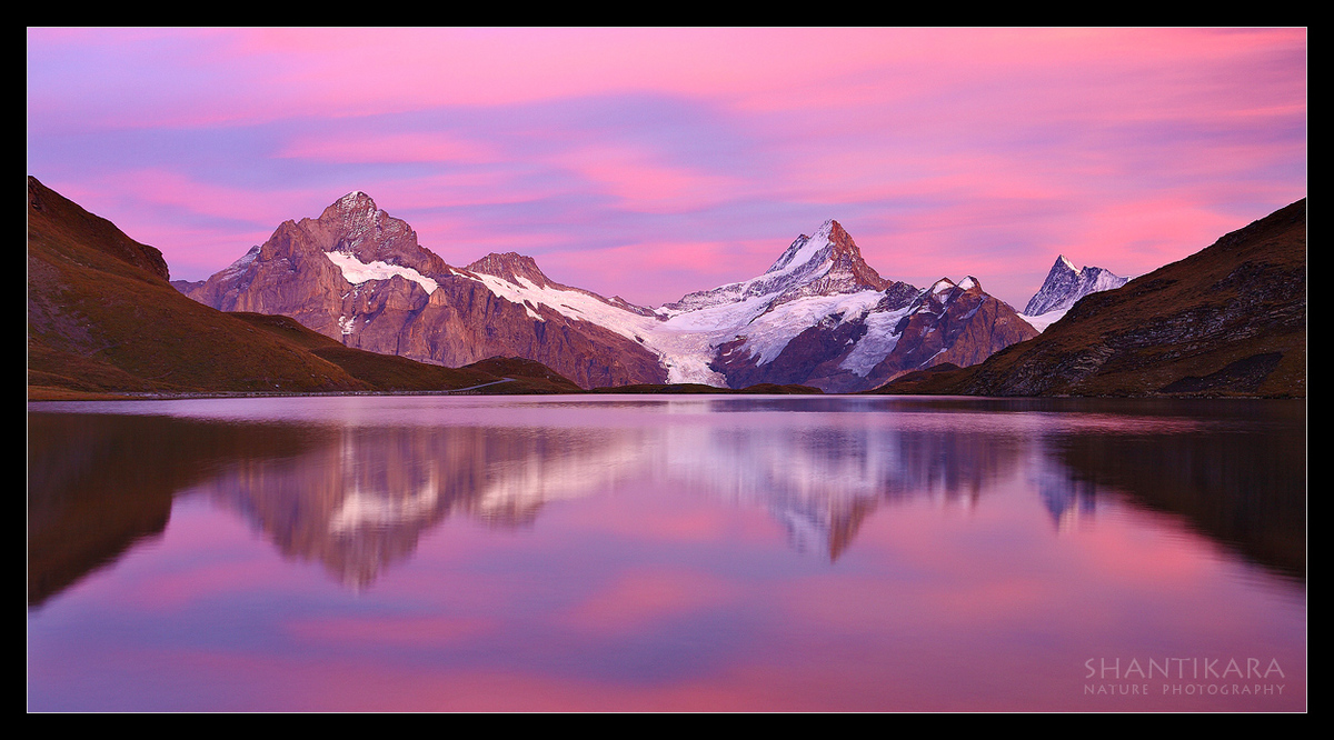 Pink Symphony + Repost