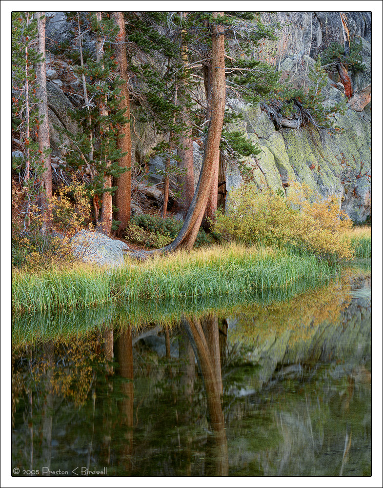 Rock Creek Serenity