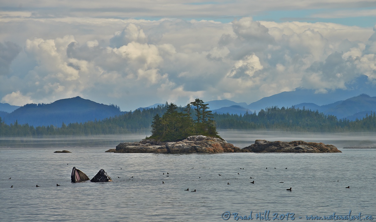 An August Oceanscape