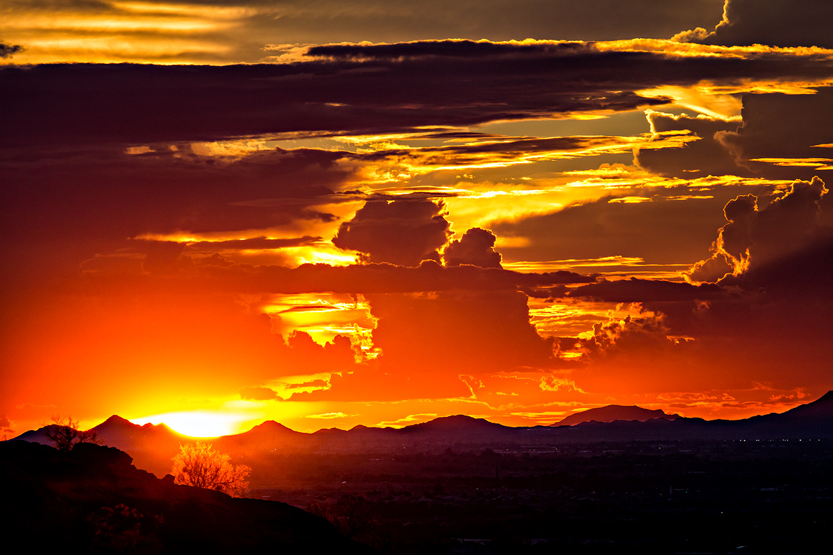 Phoenix Light Show