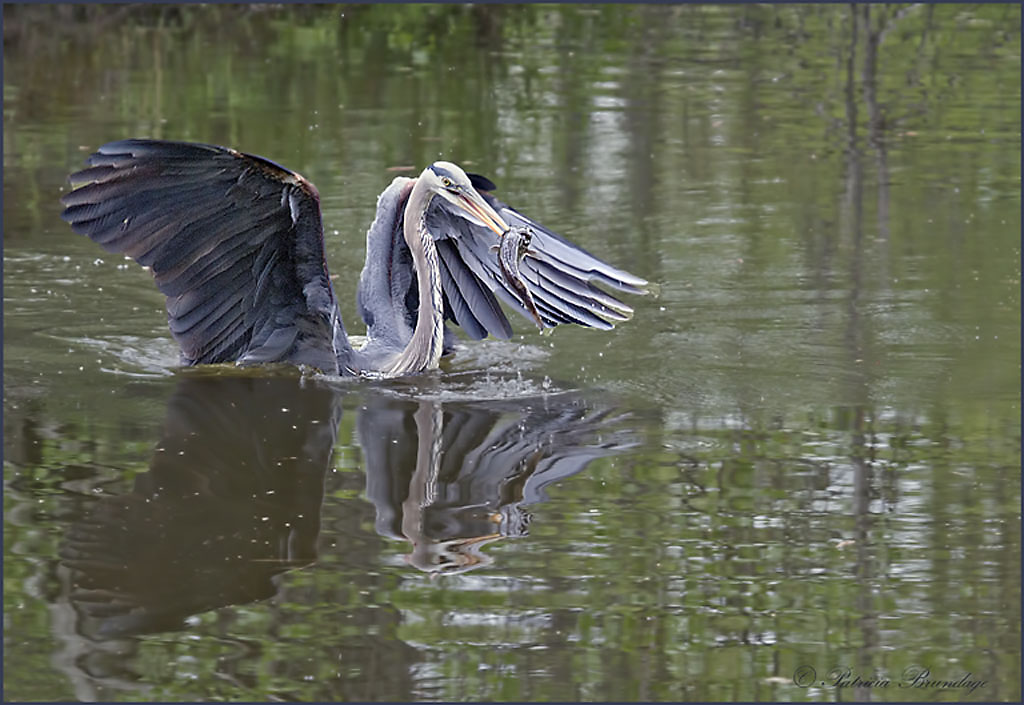 Gone fishing