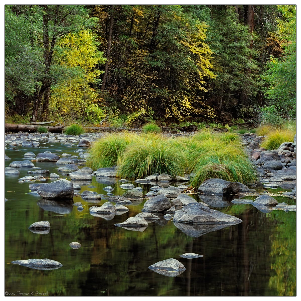 Autumn On The Merced