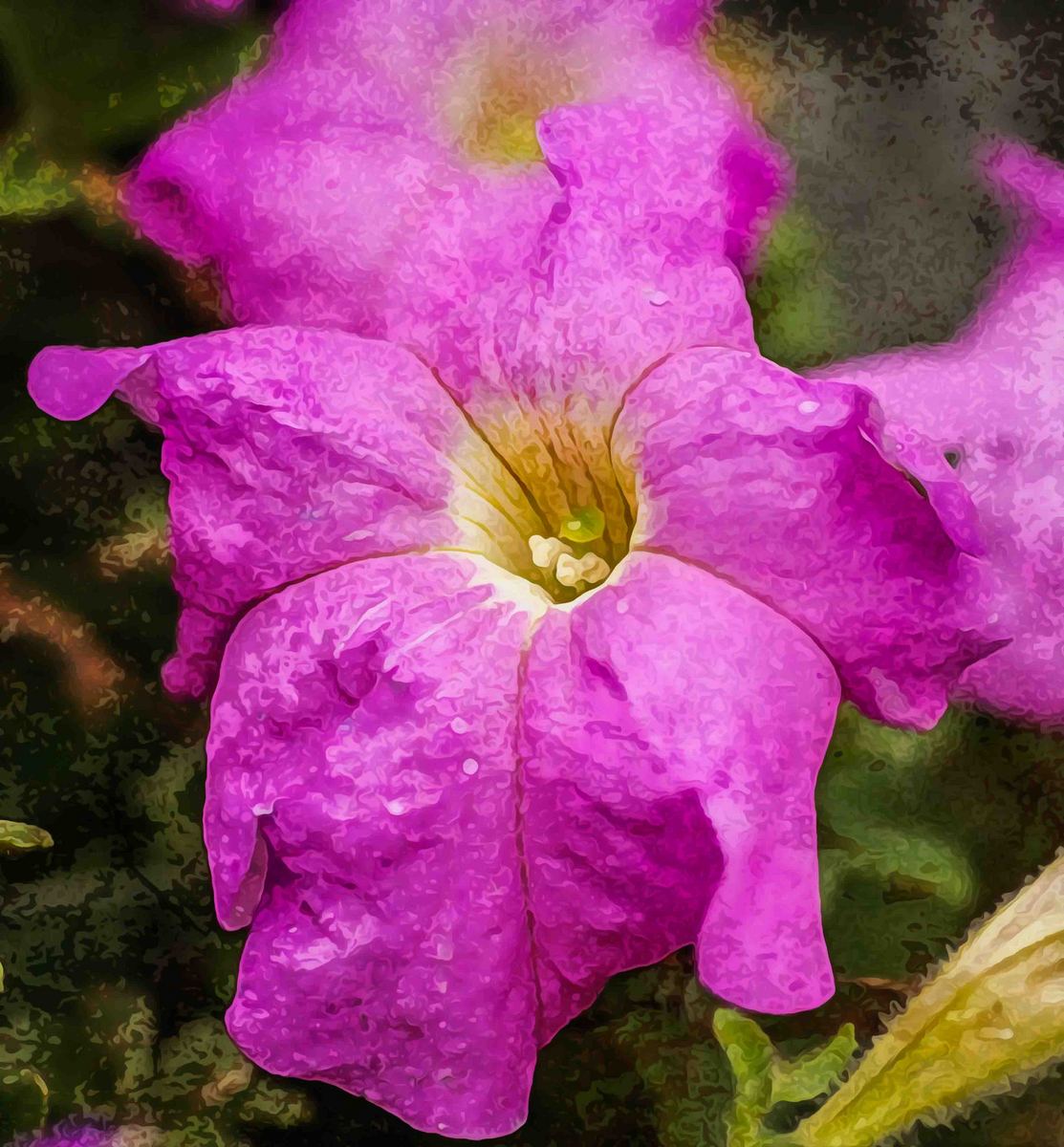 A Flower