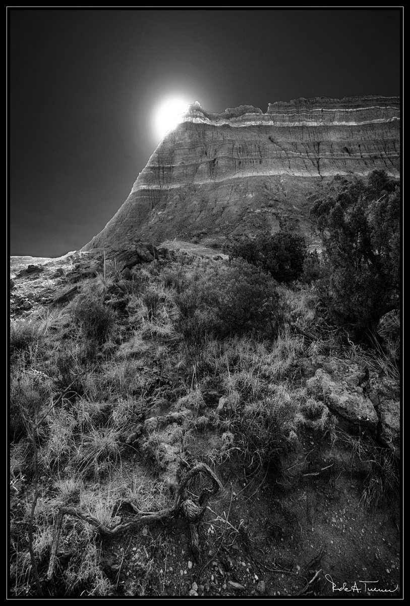 Palo duro Sunrise