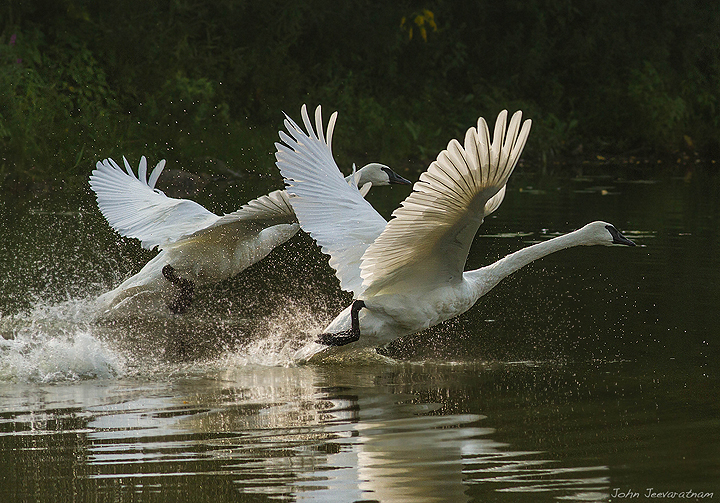 Cleared for takeoff
