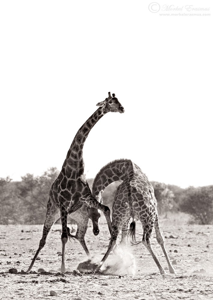 Some Necking
