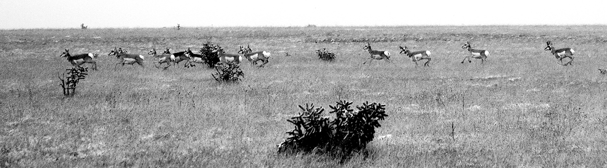 Colo High Plains