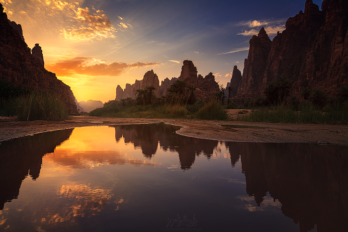 The reflection of light