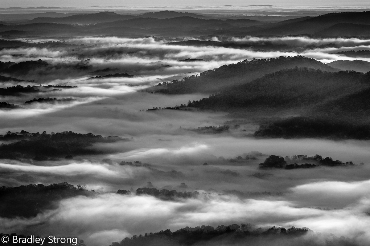 Above the Fog