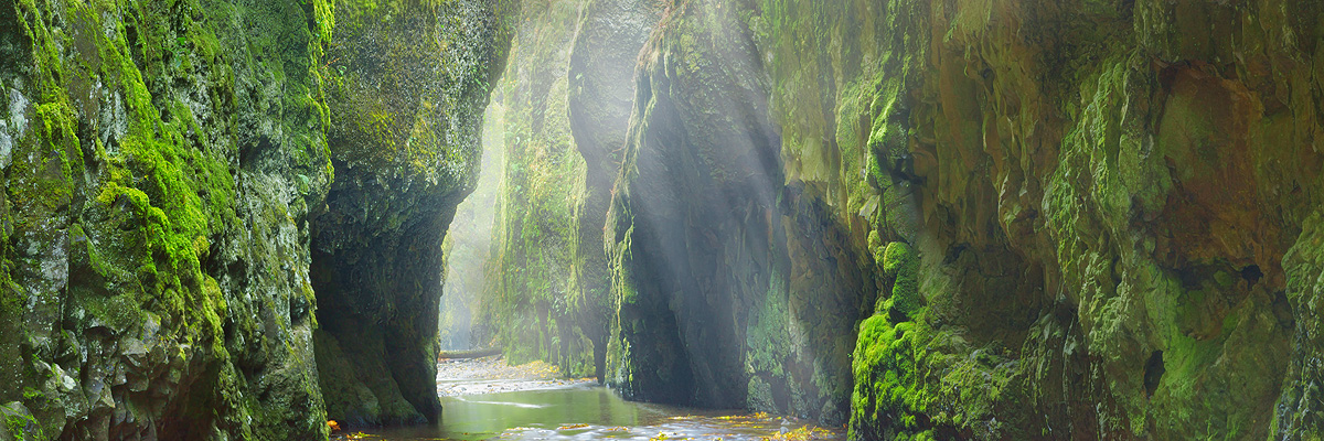 Land of the Lost