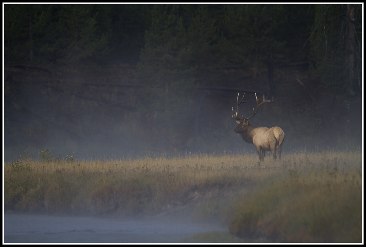 Photo of the Month 09/13 