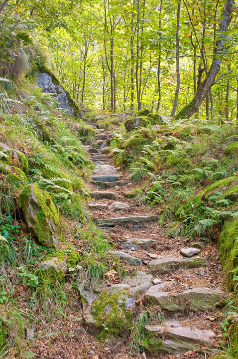 Hiking Trail