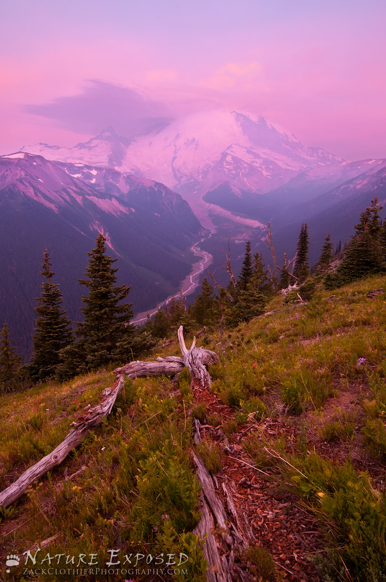 Rainier Awakens