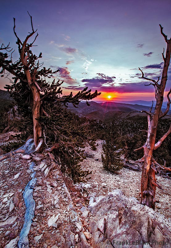 Sunrise, White Mountains