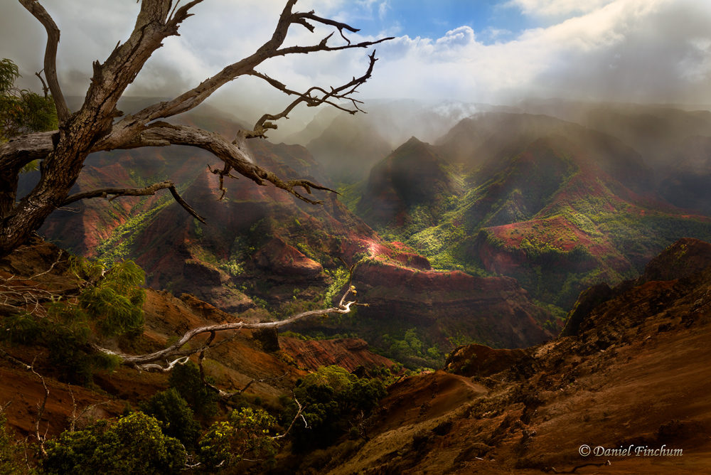 Waimea Morn Rain Refresh