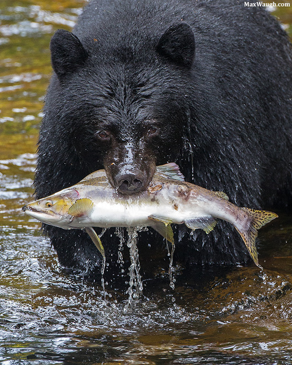Catch of the Day