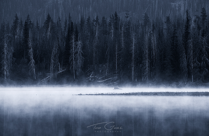 An Awaking Whisper