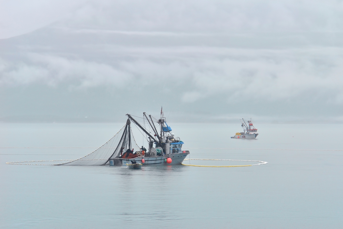 WC602 - Foggy Fishing