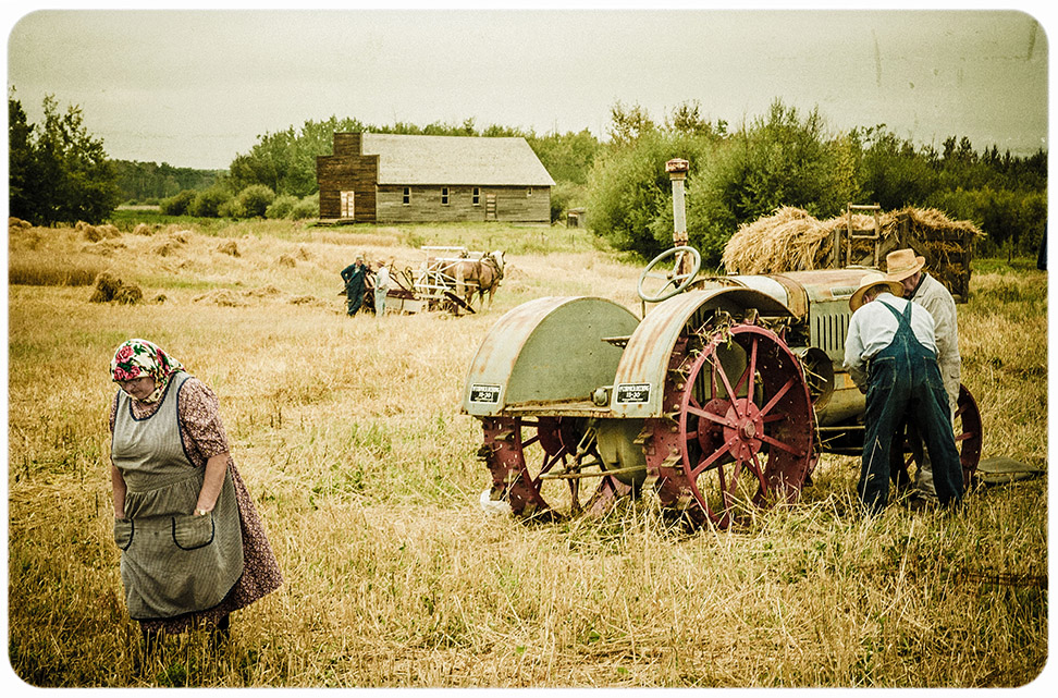 Widow of the Harvest