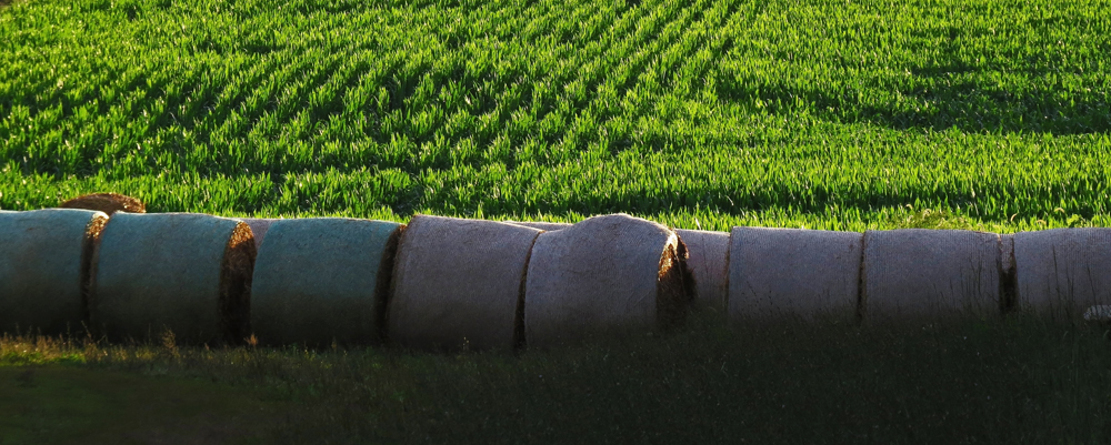 Baled  WC603
