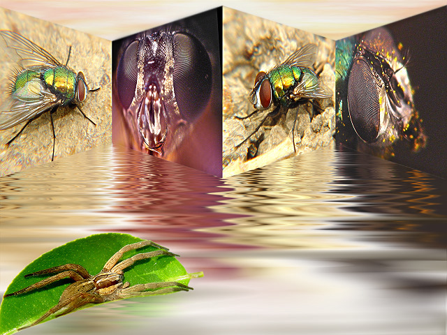 A re-work of