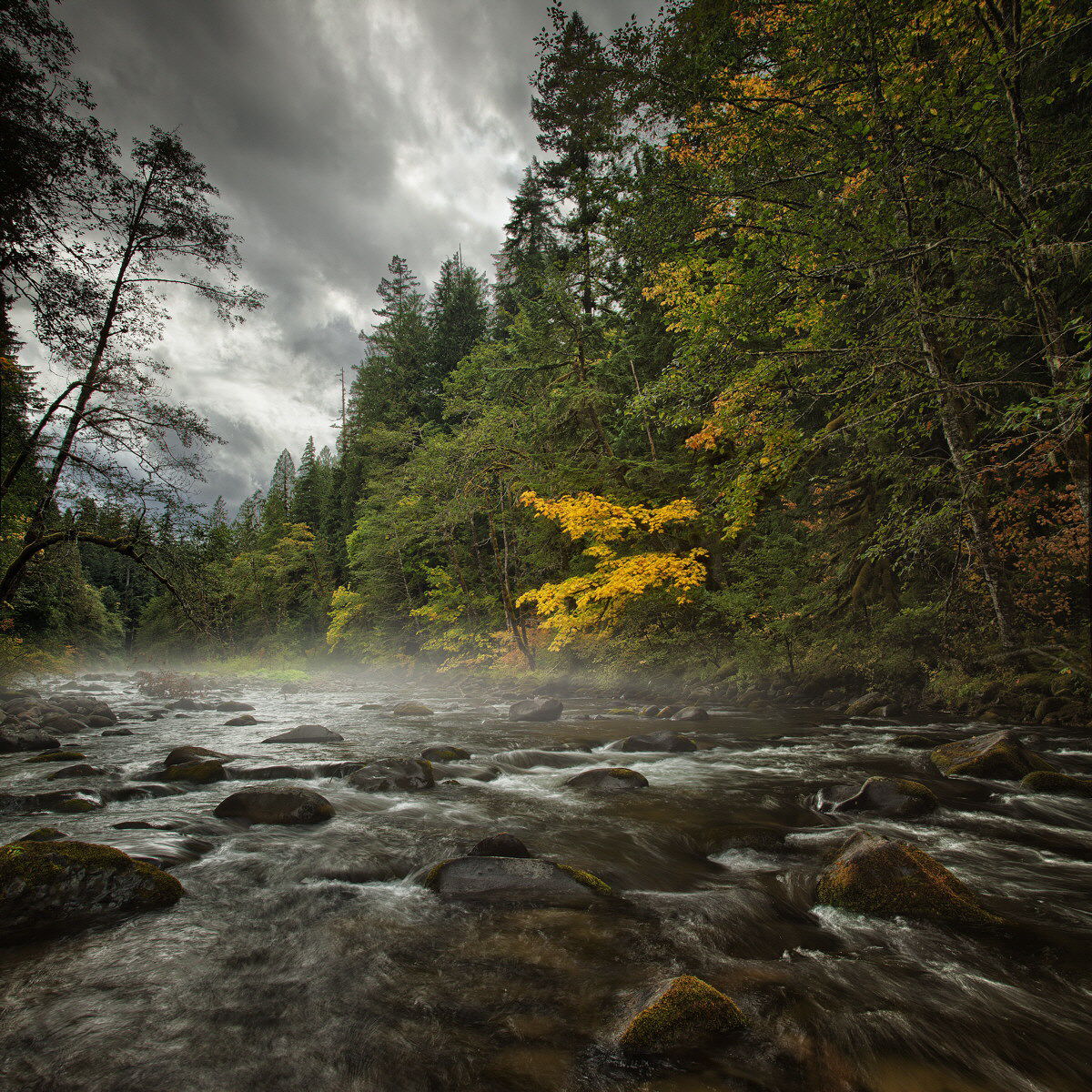 Salmon River