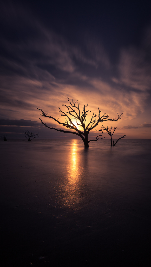 Boneyard Dawn