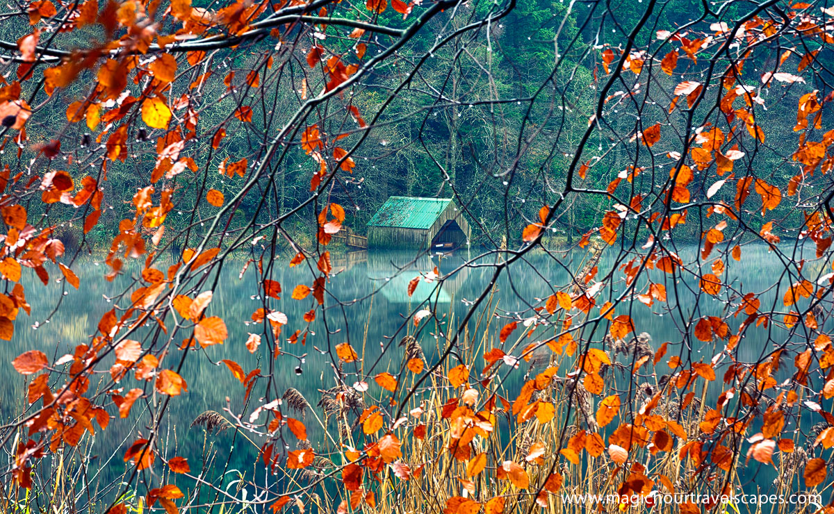 Autumn's Veil