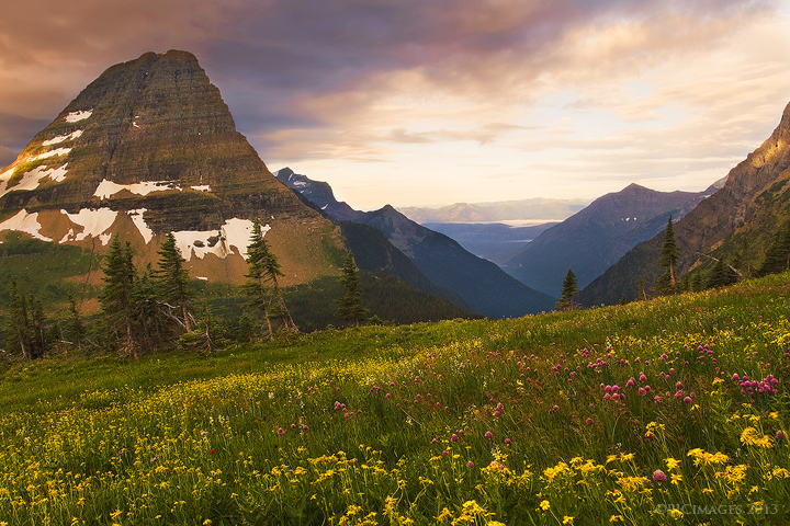 Valley of the Bears