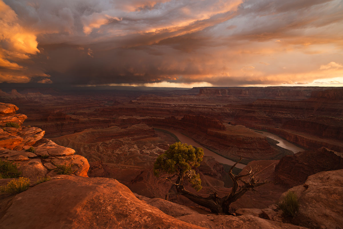 Desert Drama (or Fortissimo)