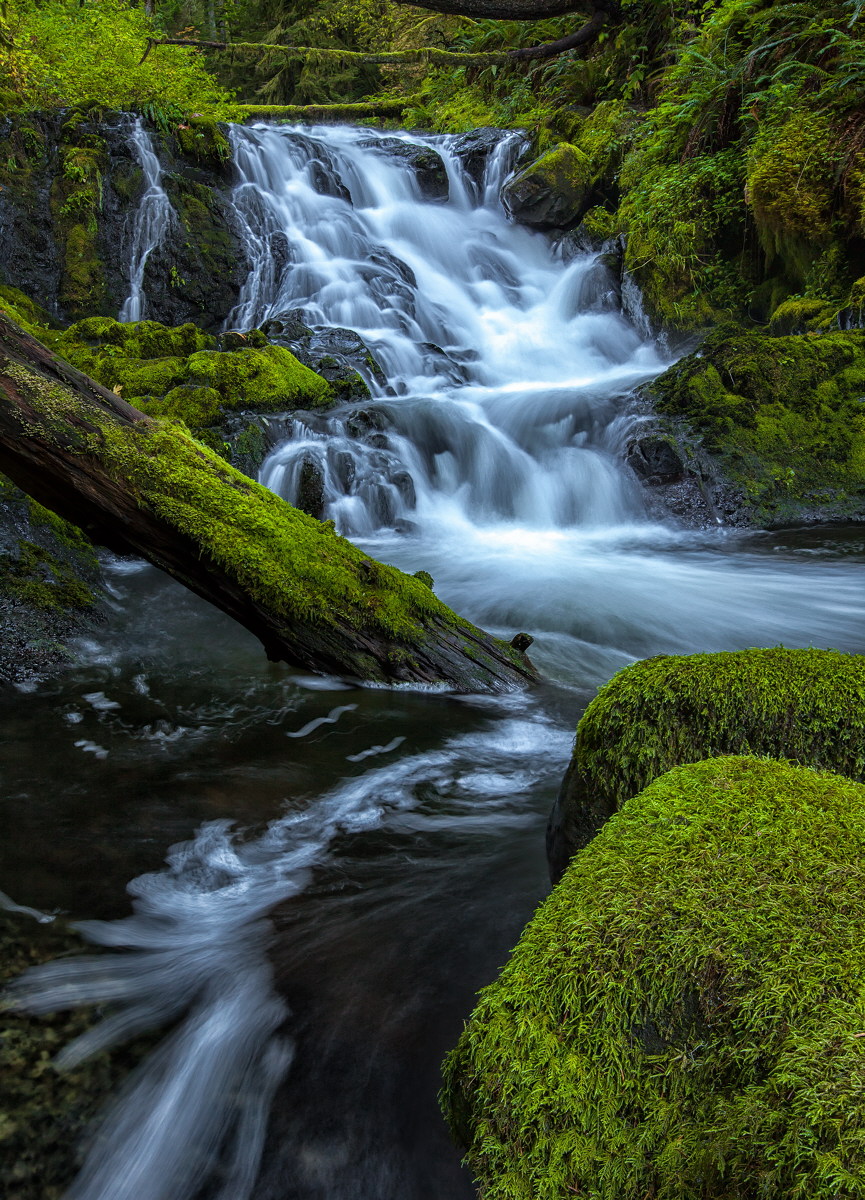 Upper McCord Creek