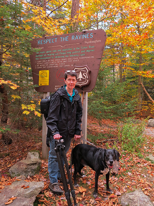 Pinkham Notch NH