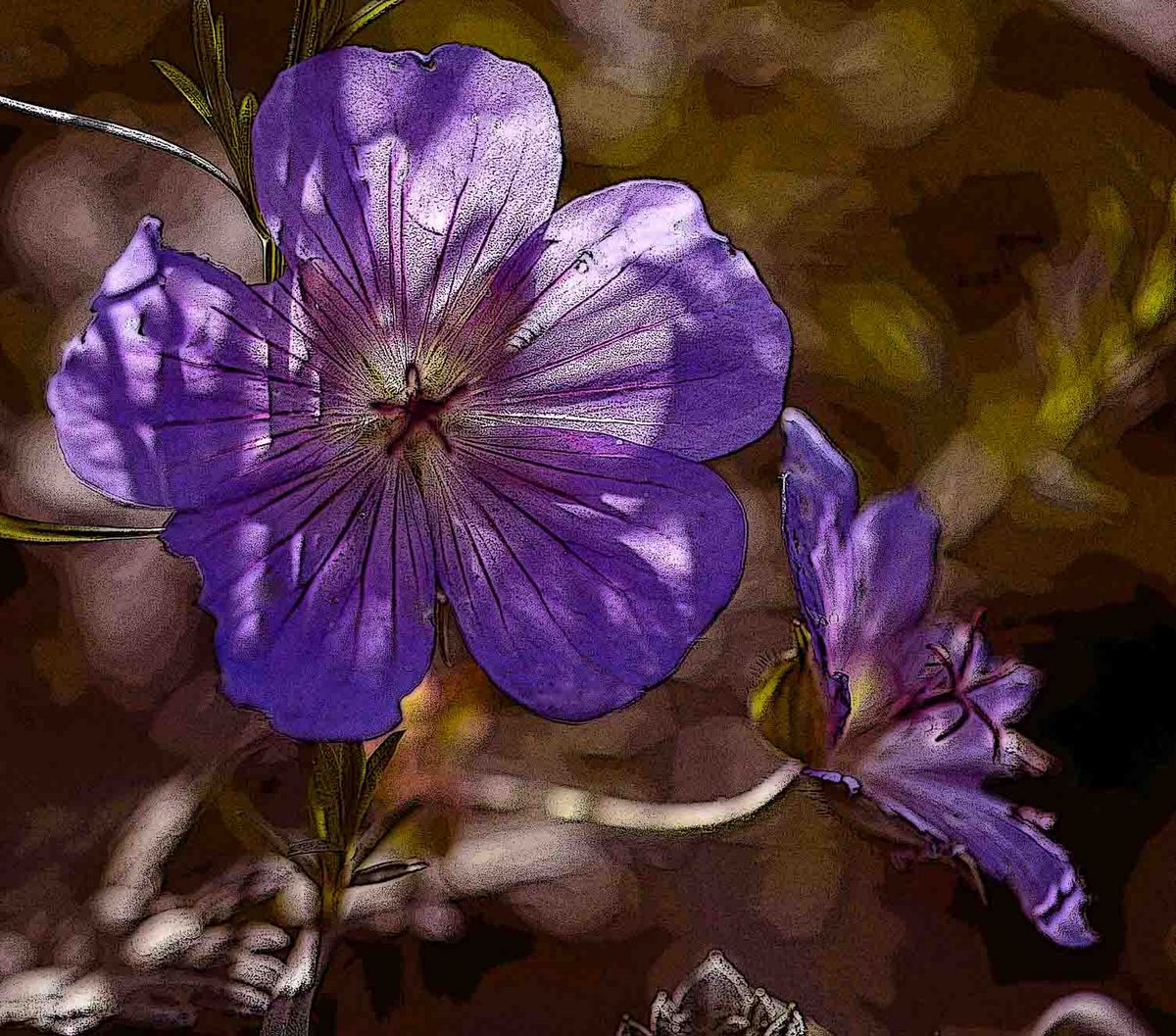 Two Flowers