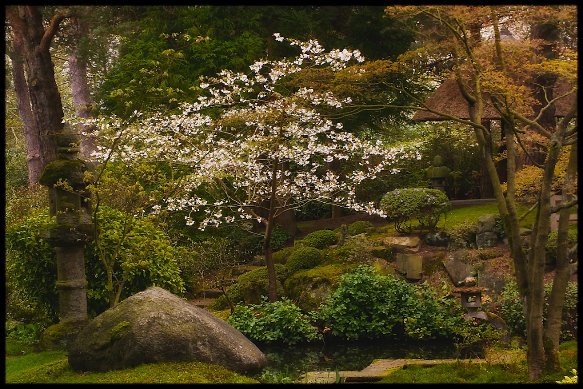 Japanese Garden