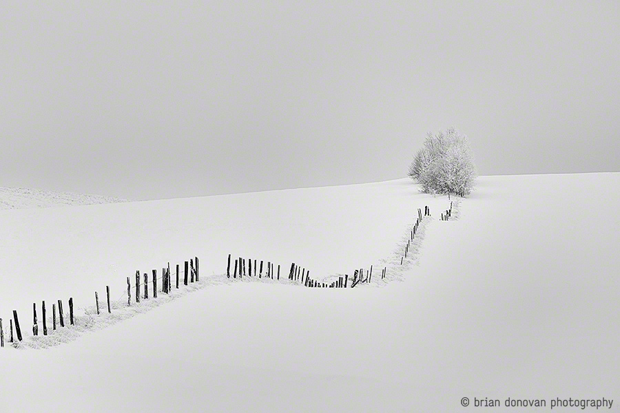 Snow Drift