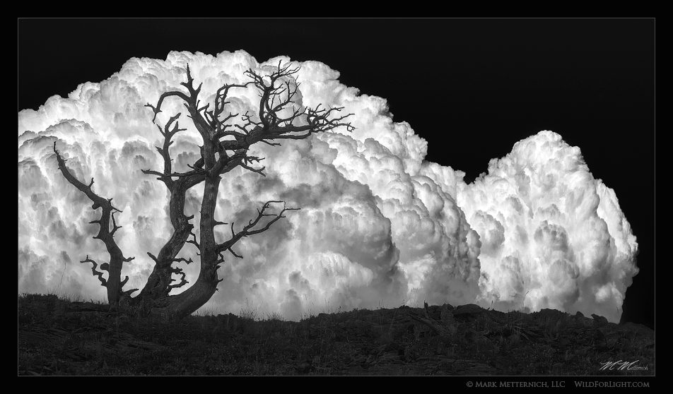 Ominous Approaching