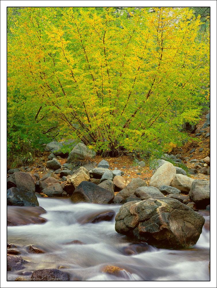 Autumn On Big Pine Creek