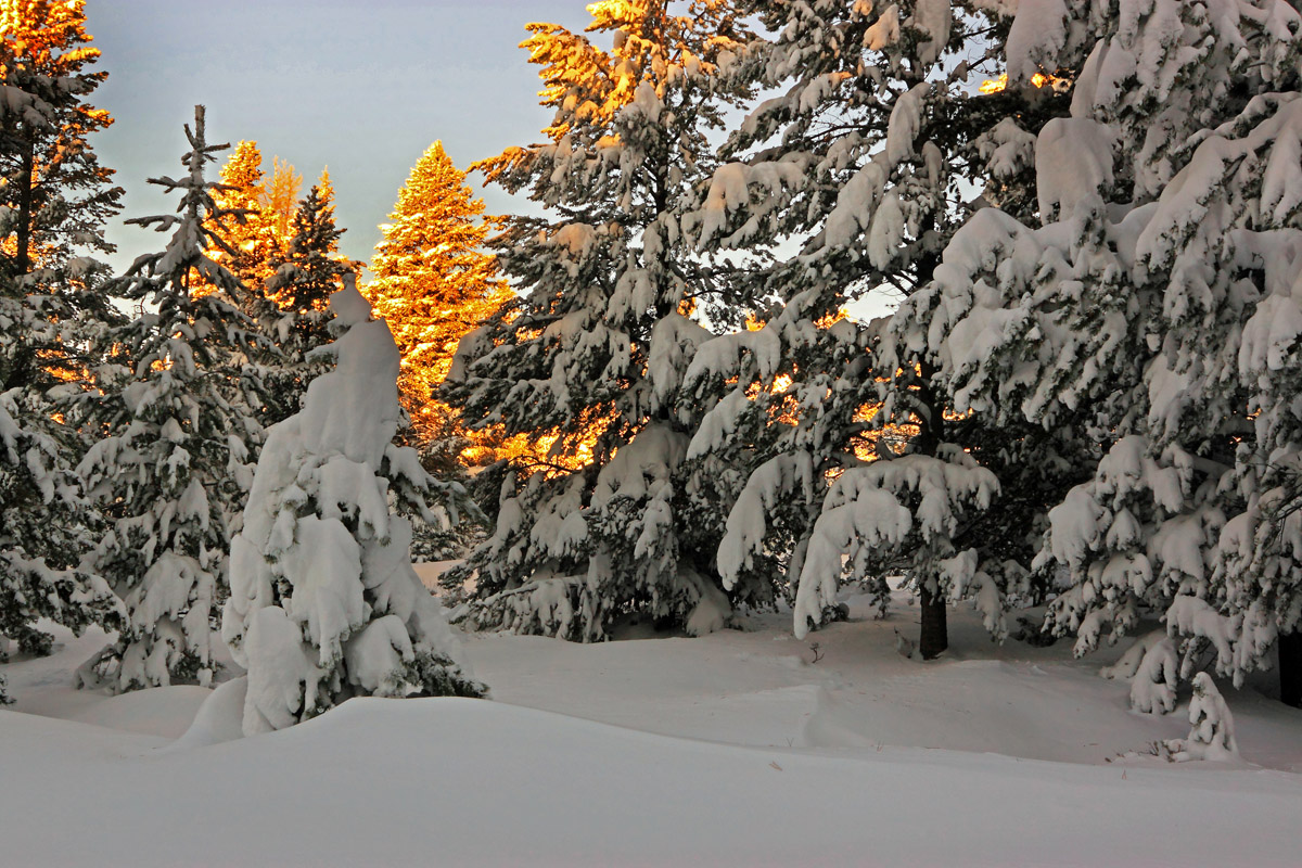 Warming the Tops