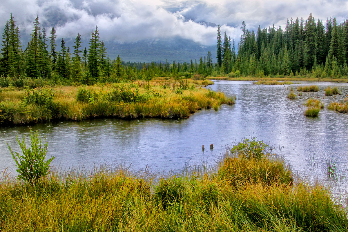 Rainy day in the Rockies