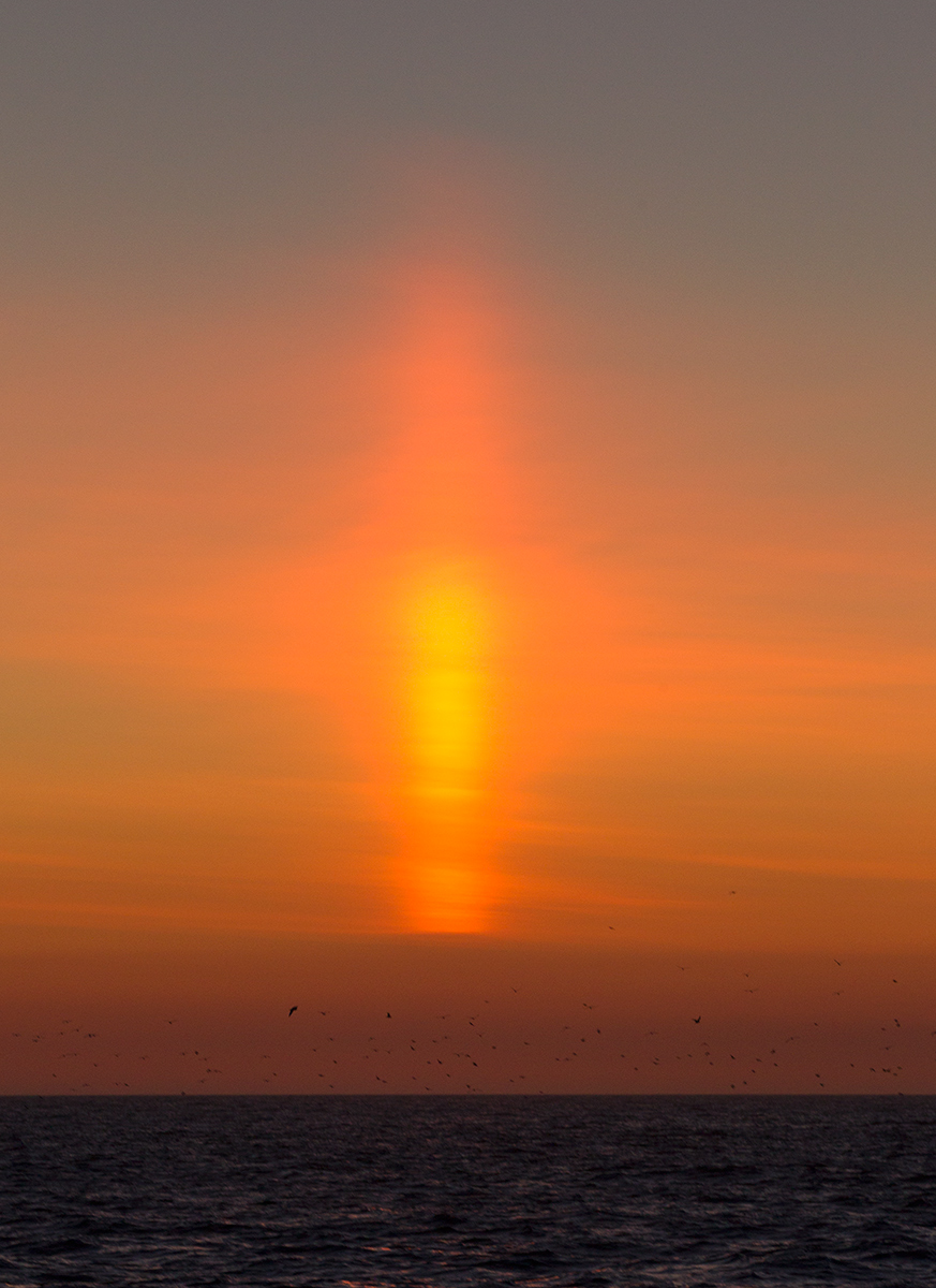 Arctic Sunrise