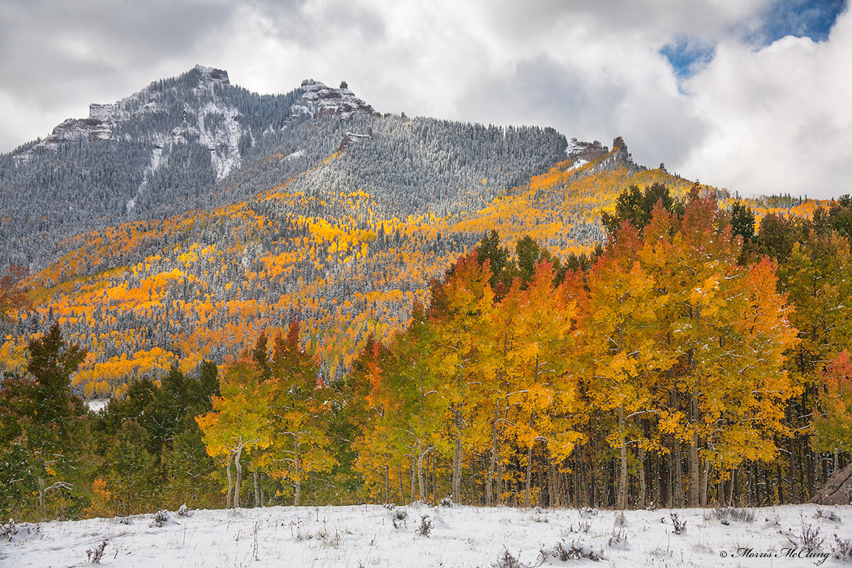 Season's Blending